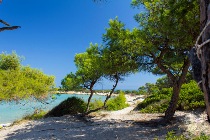  Karydi, Beaches, wondergreece.gr