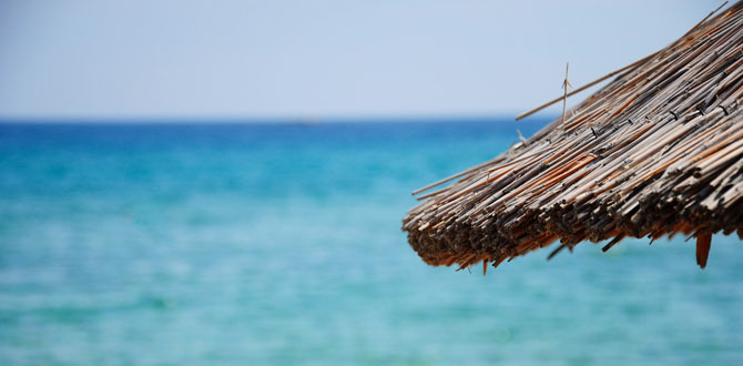  Sarti, Beaches, wondergreece.gr