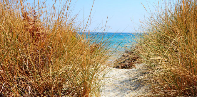  Sarti, Beaches, wondergreece.gr