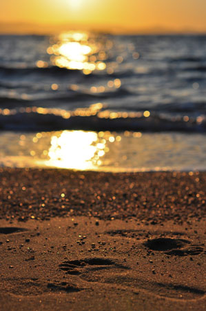  Mikri Vigla, Beaches, wondergreece.gr