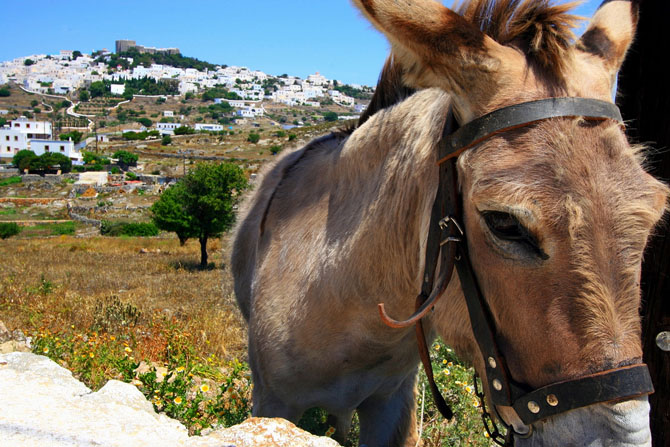  Patmos (Chora), Main cities & villages, wondergreece.gr