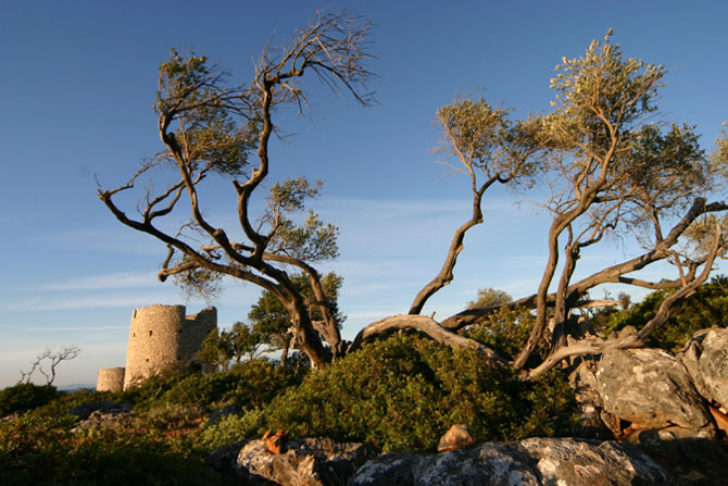  Kioni, Main cities & villages, wondergreece.gr