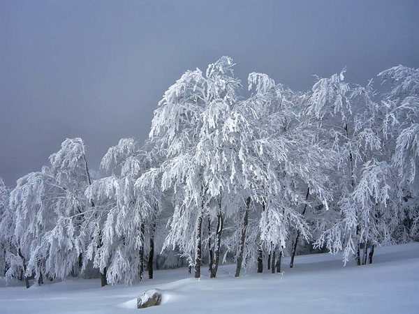  Verno (Vitsi), Mountains, wondergreece.gr