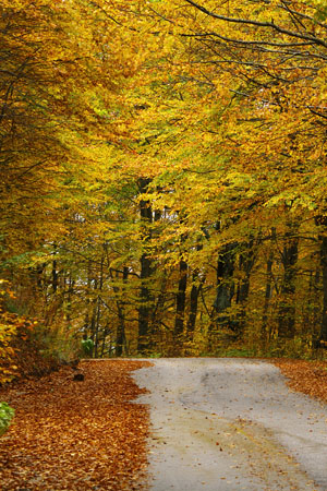  Verno (Vitsi), Mountains, wondergreece.gr