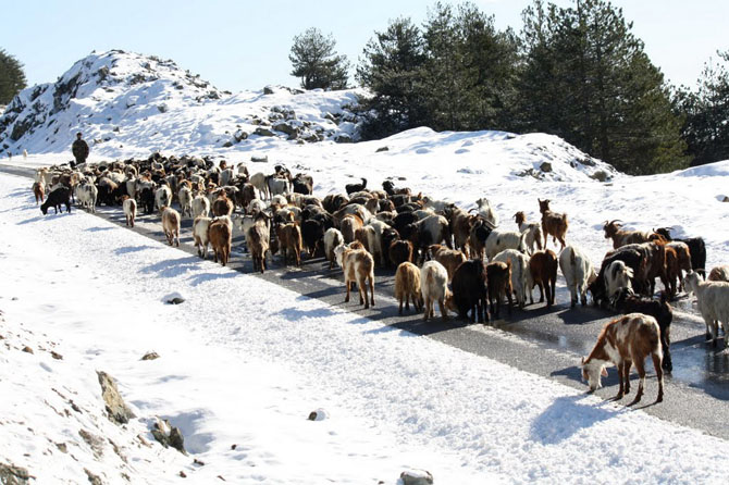  Dotsiko, Main cities & villages, wondergreece.gr