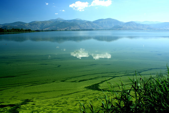  Λίμνη Καστοριάς (Λίμνη Ορεστιάδα), Λίμνες, wondergreece.gr
