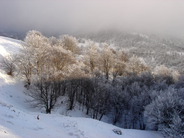  Pindos, Mountains, wondergreece.gr