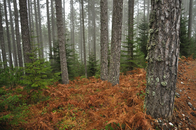  Pindos, Mountains, wondergreece.gr