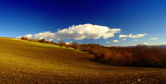  Εθνικός Δρυμός Πίνδου (Βάλια Κάλντα), Δάση, wondergreece.gr