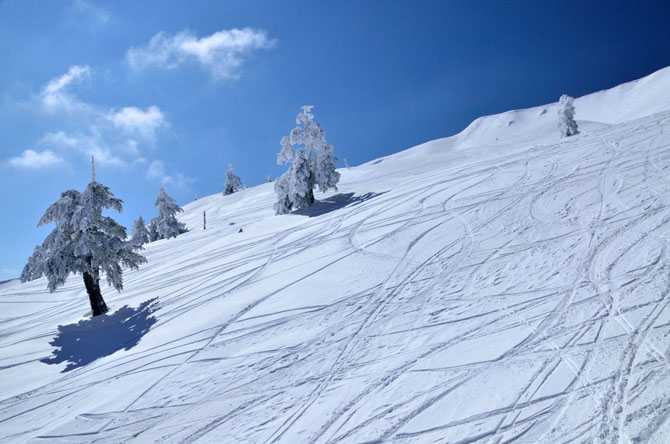  Vassilitsa, Mountains, wondergreece.gr