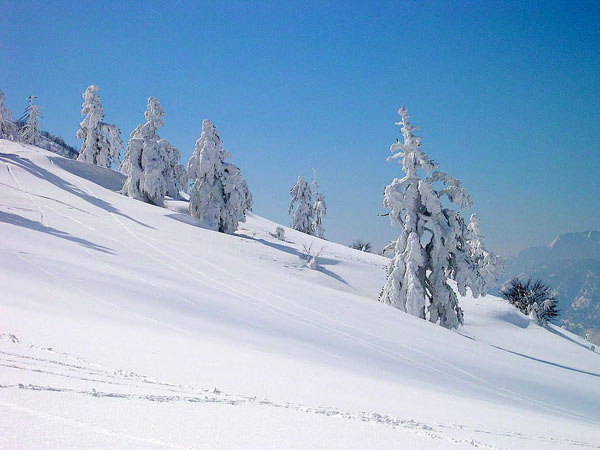  Vassilitsa, Mountains, wondergreece.gr