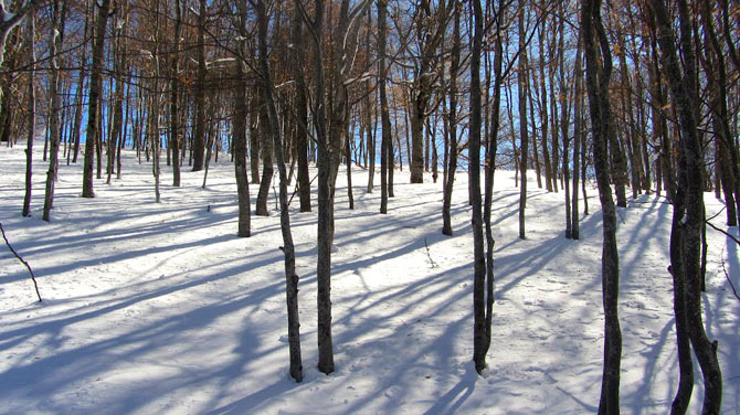  Vitsi Ski Center , Ski - Snowboard, wondergreece.gr