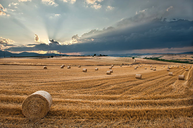  Kozani, Main cities & villages, wondergreece.gr