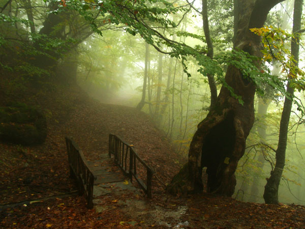  Pieria Mountains , Mountains, wondergreece.gr