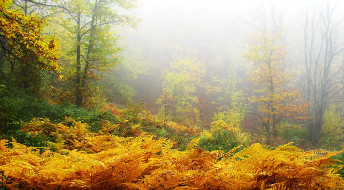  Pieria Mountains , Mountains, wondergreece.gr