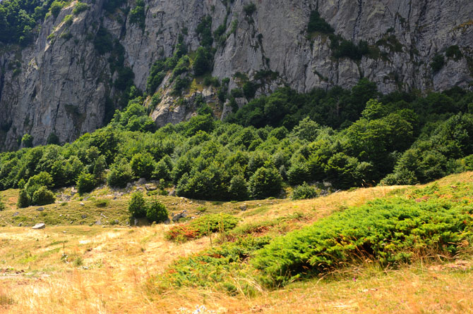  Pinovo, Mountains, wondergreece.gr