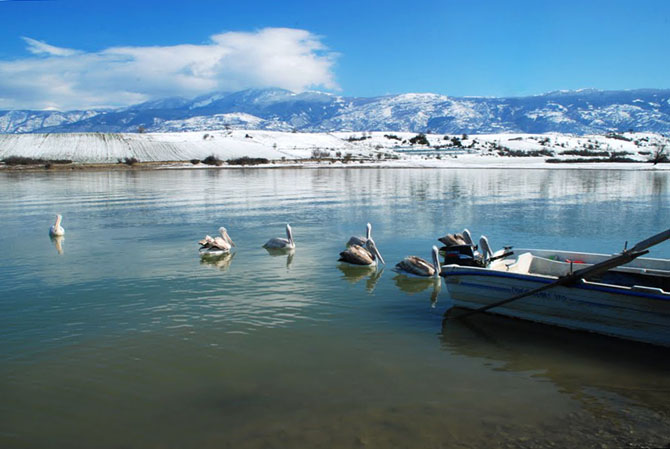  Lake Polifitos, Lakes, wondergreece.gr