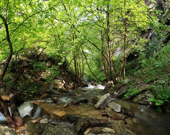  Skepasmeno Gorge, Gorges, wondergreece.gr