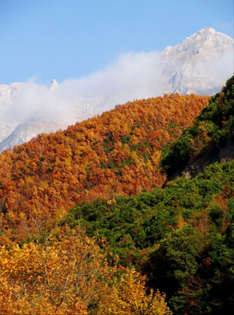  Αθαμανικά όρη (Τζουμέρκα), Βουνά, wondergreece.gr