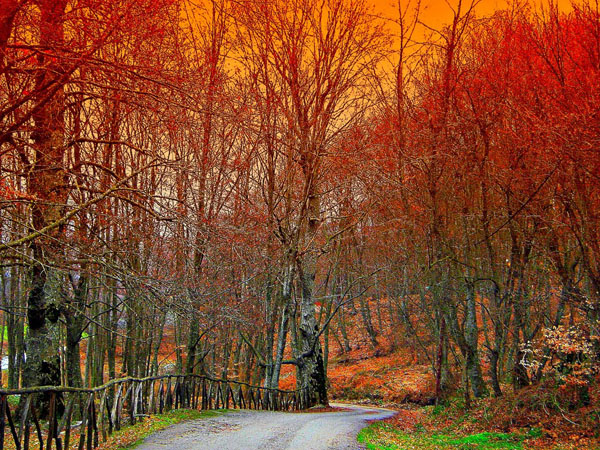  Elatochori, Main cities & villages, wondergreece.gr