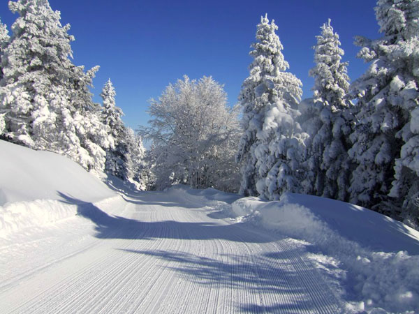  Elatochori Ski Center, Ski - Snowboard, wondergreece.gr