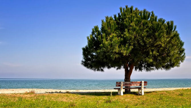  Σκοτίνα, Παραλίες, wondergreece.gr