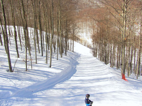  Χιονοδρομικό κέντρο 3-5 Πηγάδια, Ski - Snowboard, wondergreece.gr