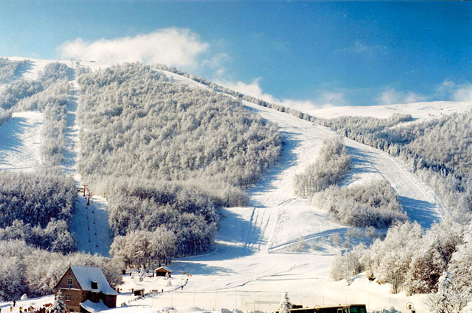  3-5 Pigadia Ski Center , Ski - Snowboard, wondergreece.gr