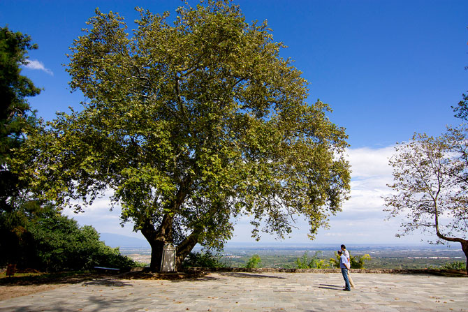  Park of Naousa, Monuments & sights, wondergreece.gr