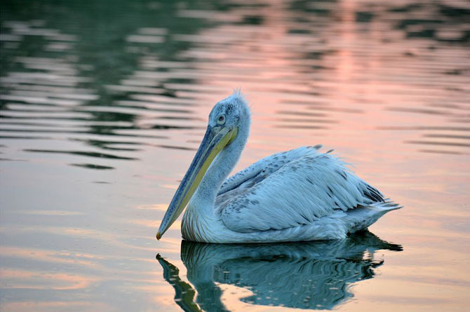  Zazari, Lakes, wondergreece.gr