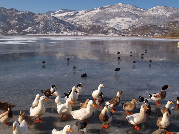  Zazari, Lakes, wondergreece.gr