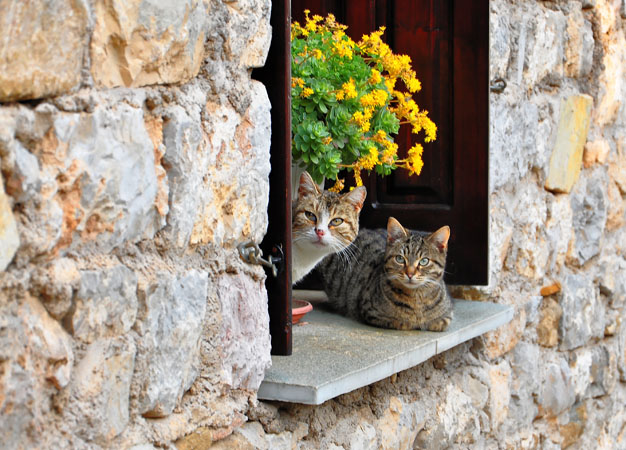  Nafpaktos, Main cities & villages, wondergreece.gr