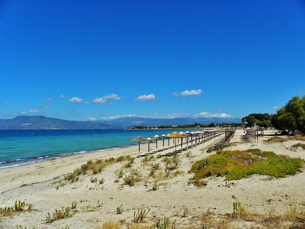  Αλυκές Δροσιάς, Παραλίες, wondergreece.gr