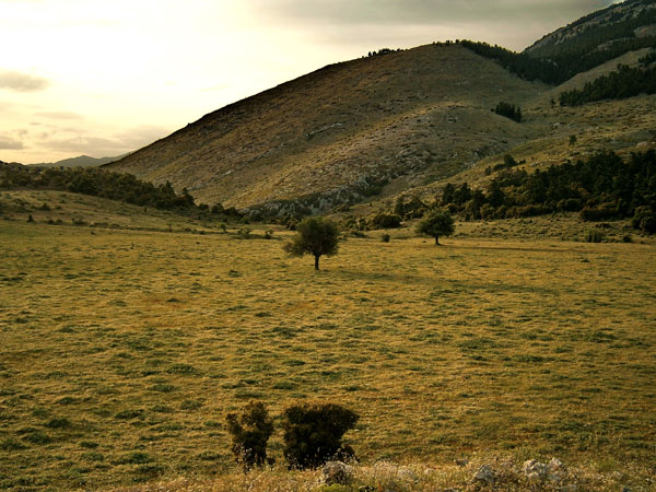  Elikonas, Mountains, wondergreece.gr