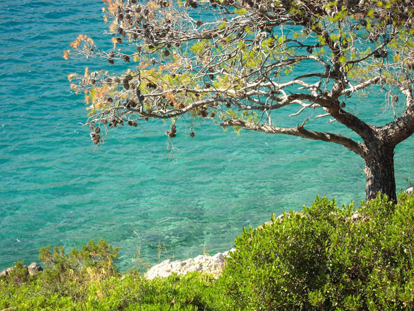  Καλαμάκι, Παραλίες, wondergreece.gr