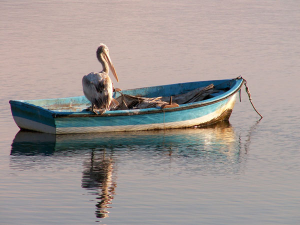  Lake Volvi, Lakes, wondergreece.gr