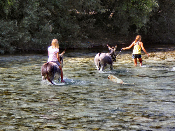  Αcherontas, Rivers, wondergreece.gr