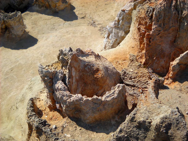  Petrified Forest Voion, Monuments & sights, wondergreece.gr