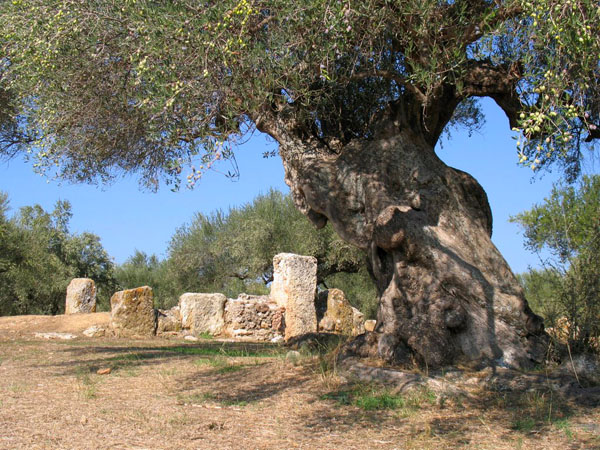  Ancient Sparta, Archaelogical sites, wondergreece.gr