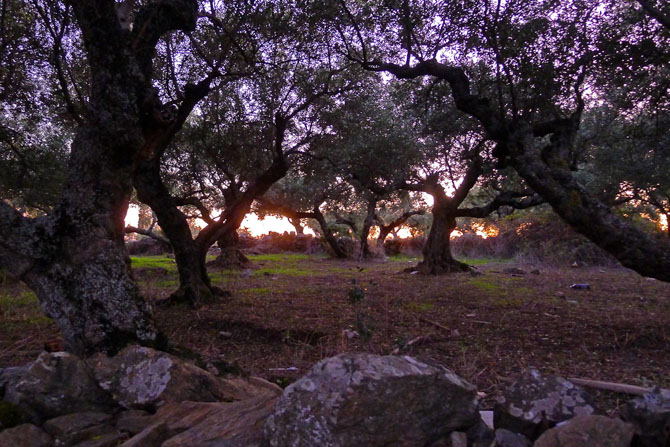  Ano & Kato Kardamili, Main cities & villages, wondergreece.gr