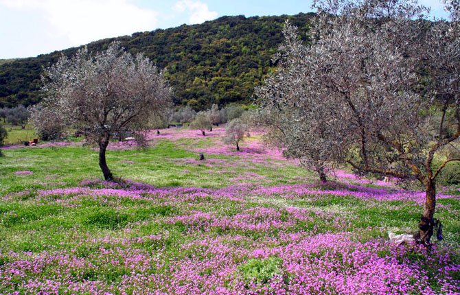  Paramithia, Main cities & villages, wondergreece.gr