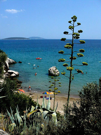  Tolo, Beaches, wondergreece.gr