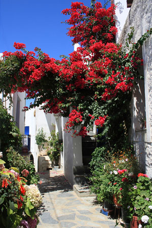  Φαλατάδος, Πόλεις & Χωριά, wondergreece.gr