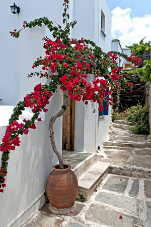  Pyrgos, Main cities & villages, wondergreece.gr