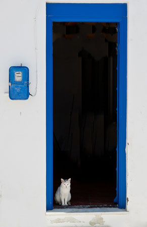  Tinos - Chora, Main cities & villages, wondergreece.gr