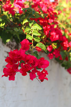  Tinos - Chora, Main cities & villages, wondergreece.gr