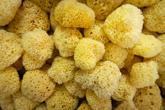  Sponges of Kalymnos, Local products, wondergreece.gr