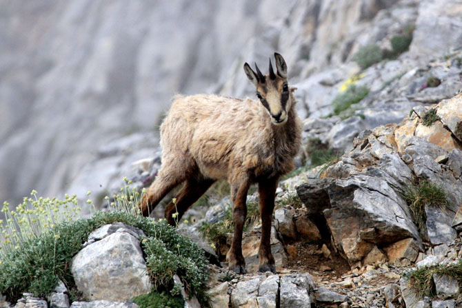  Olympus, Mountains, wondergreece.gr