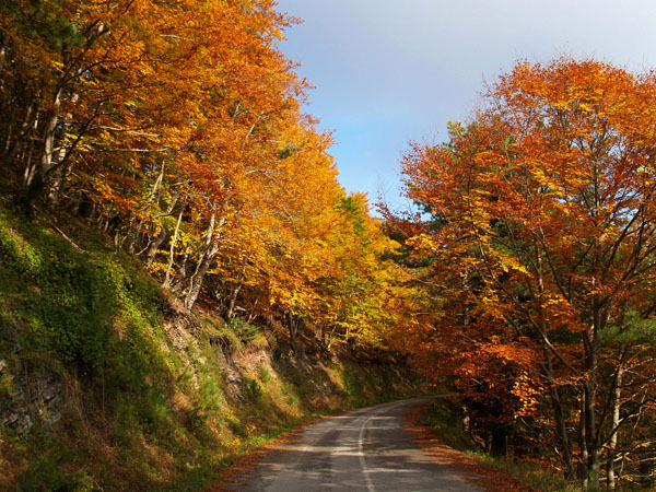  Olympus, Mountains, wondergreece.gr