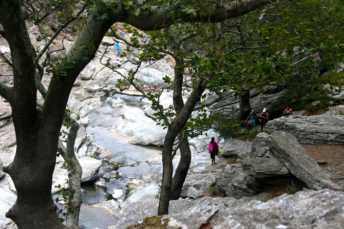  Dimosari Gorge, Gorges, wondergreece.gr